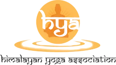 Online Yoga Teacher Training Course