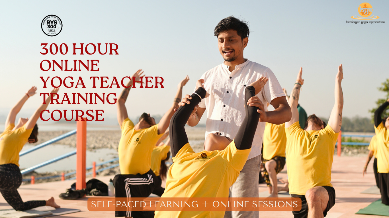 Online 300 Hour Yoga Teacher Training in Rishikesh, India
