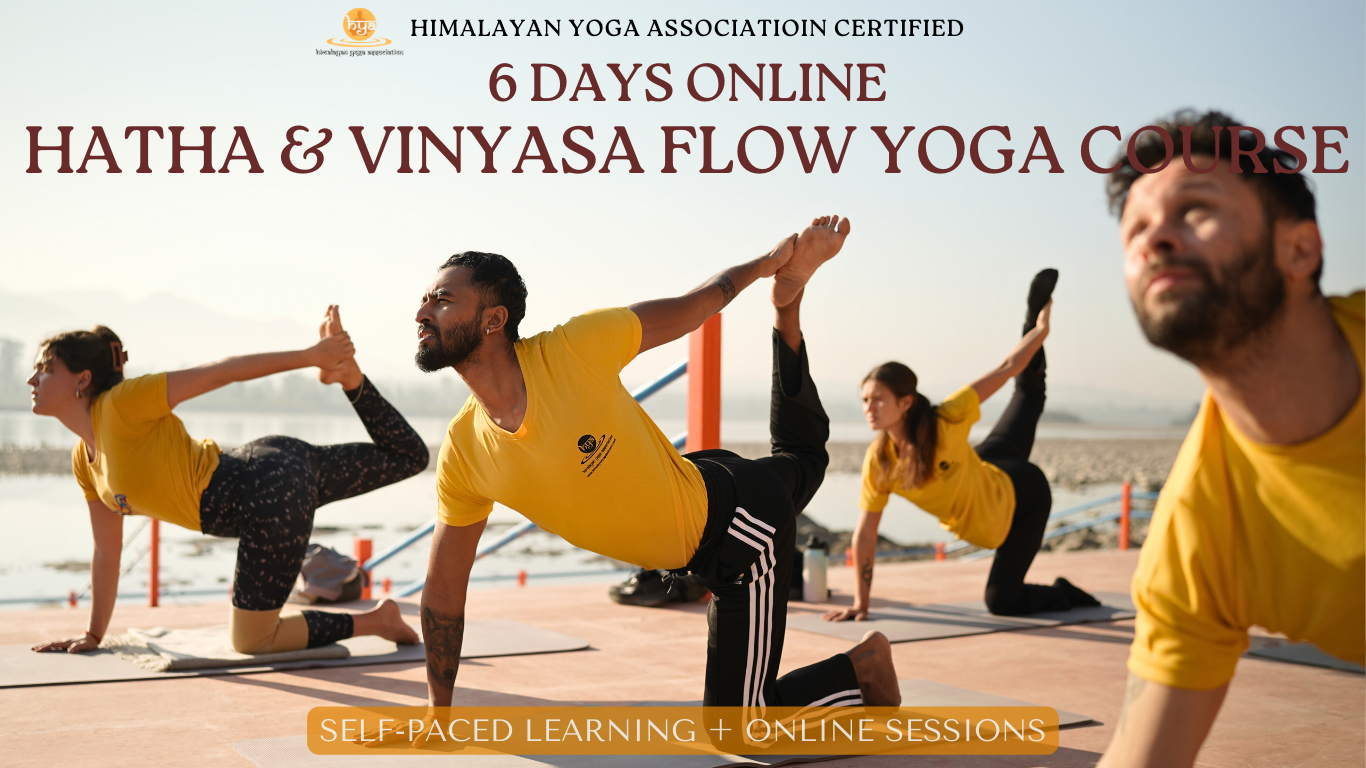 Certified 6 Days Online Hatha & Vinyasa Flow Yoga Course