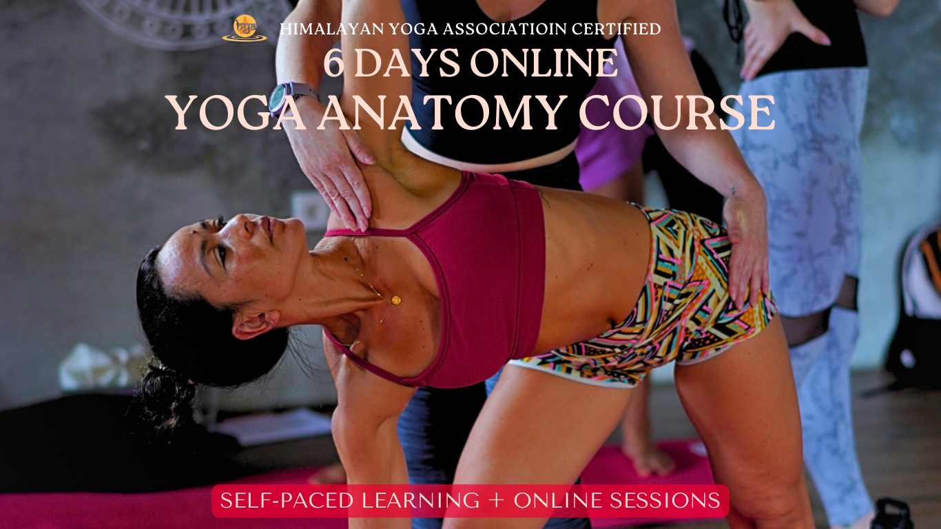 6 Days Online Yoga Anatomy Course
